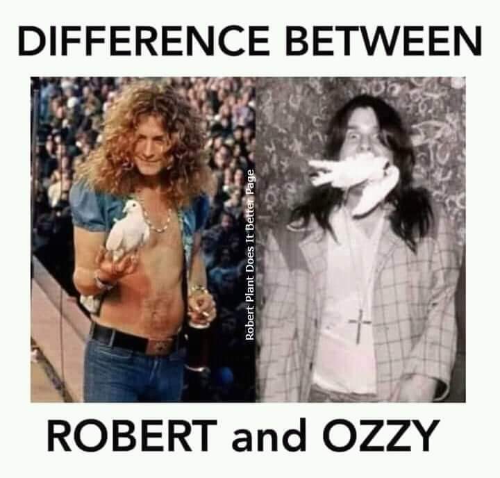 BjoernHnida's tweet photo. Rock'n'Roll Lesson #42 ☝🏻 https://t.co/LxId5QH3kI