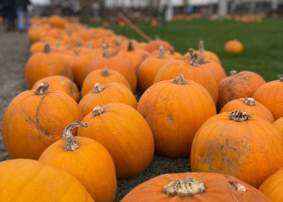 Solent Journalism tweet media