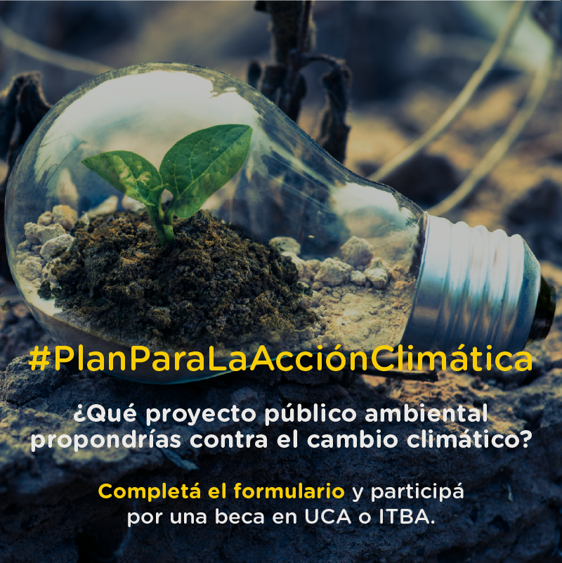 BA Acceso a la Información y Gobierno Abierto tweet media