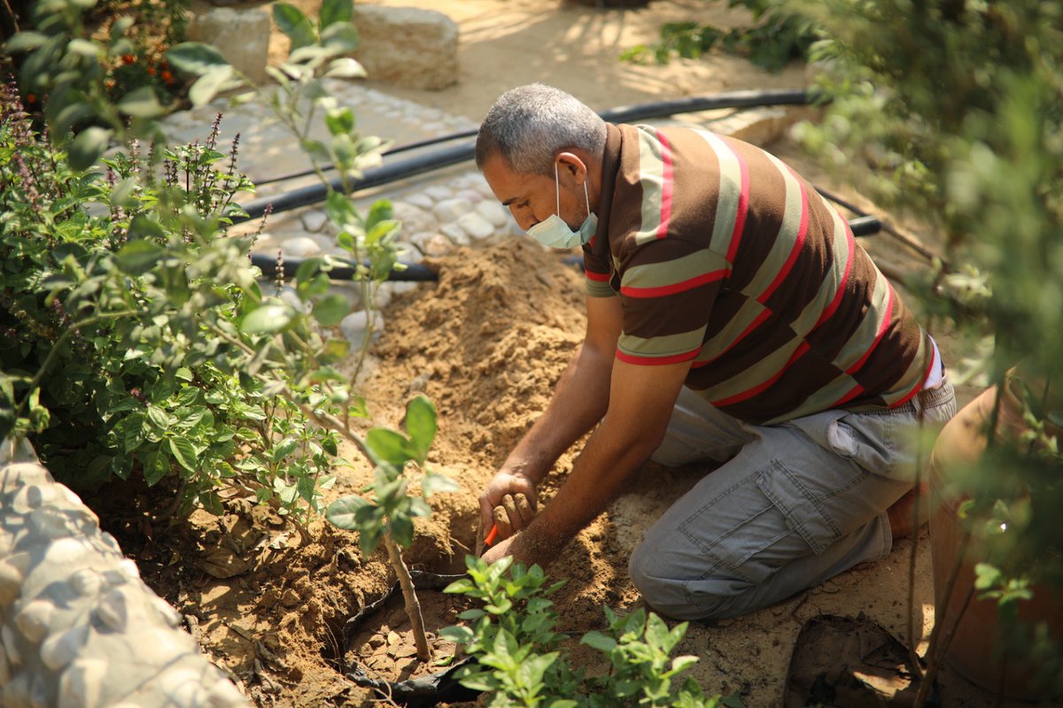 RebuildingAll's tweet photo. "He who plants a tree Plants a hope" Gardens Goats and more is an agriculture program that empowers families by giving them the tools to have a stable source of extra food. Learn more at link in bio
https://t.co/nYxYsg0DL6
Quote credit: Lucy Larcom
#gaza #agriculture https://t.co/zCJ4QnxgRL