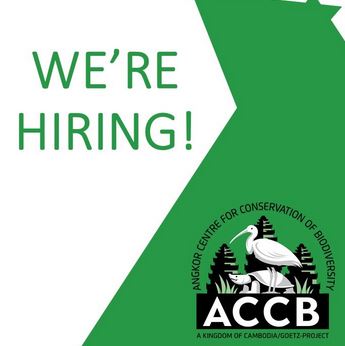 Job alert! Are you an enthusiastic vet interested in cambodian wildlife?
Then send your cover letter and CV to application@accb-cambodia.org to join the Angkor Center for Conservation of Biodiversity.

For more info : 
iczoo.org/index.php/job-…
&amp;
accb-cambodia.org/en/index.php