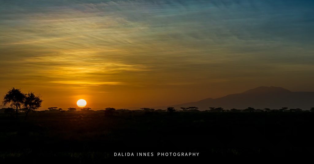 DouniaBeneddine's tweet photo. Sunrise in Africa is always moving ! Photo taken by @dainnes67 
@ThePhotoHour #TwitterNatureCommunity #Landscape  #NaturePhotography #Photography #BBCWildlifePOTD #Sunrise https://t.co/nUQnAd9CuG