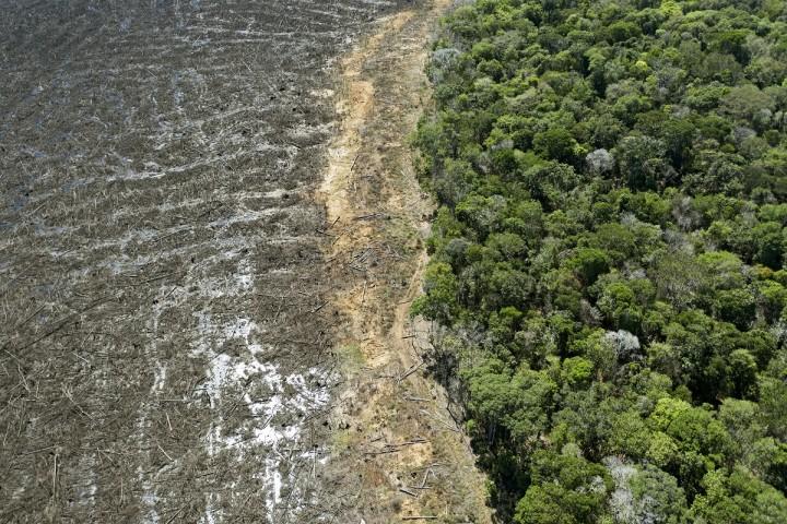 L'Amazonie libère désormais plus de carbone qu'elle n'en stocke. La forêt tropicale pourrait atteindre un point de non-retour limportant.fr/infos-planete/…