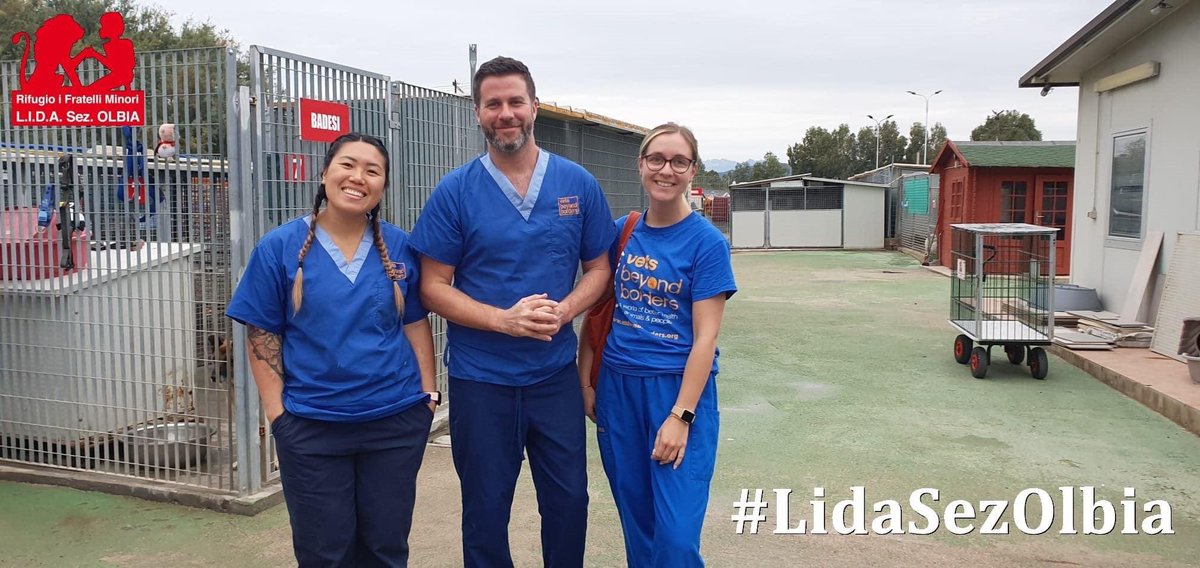LidaSezOlbia's tweet photo. Olbia, 28.10.2021
La nostra Campagna di Sterilizzazione dedicata ai gatti terminerà domani, sono tante le famiglie dei mici che hanno potuto usufruire di questa opportunità.
Loro sono i meravigliosi veterinari che operano per l'associazione australiana #VetsBeyondBorders, https://t.co/sRSmOiw1WO