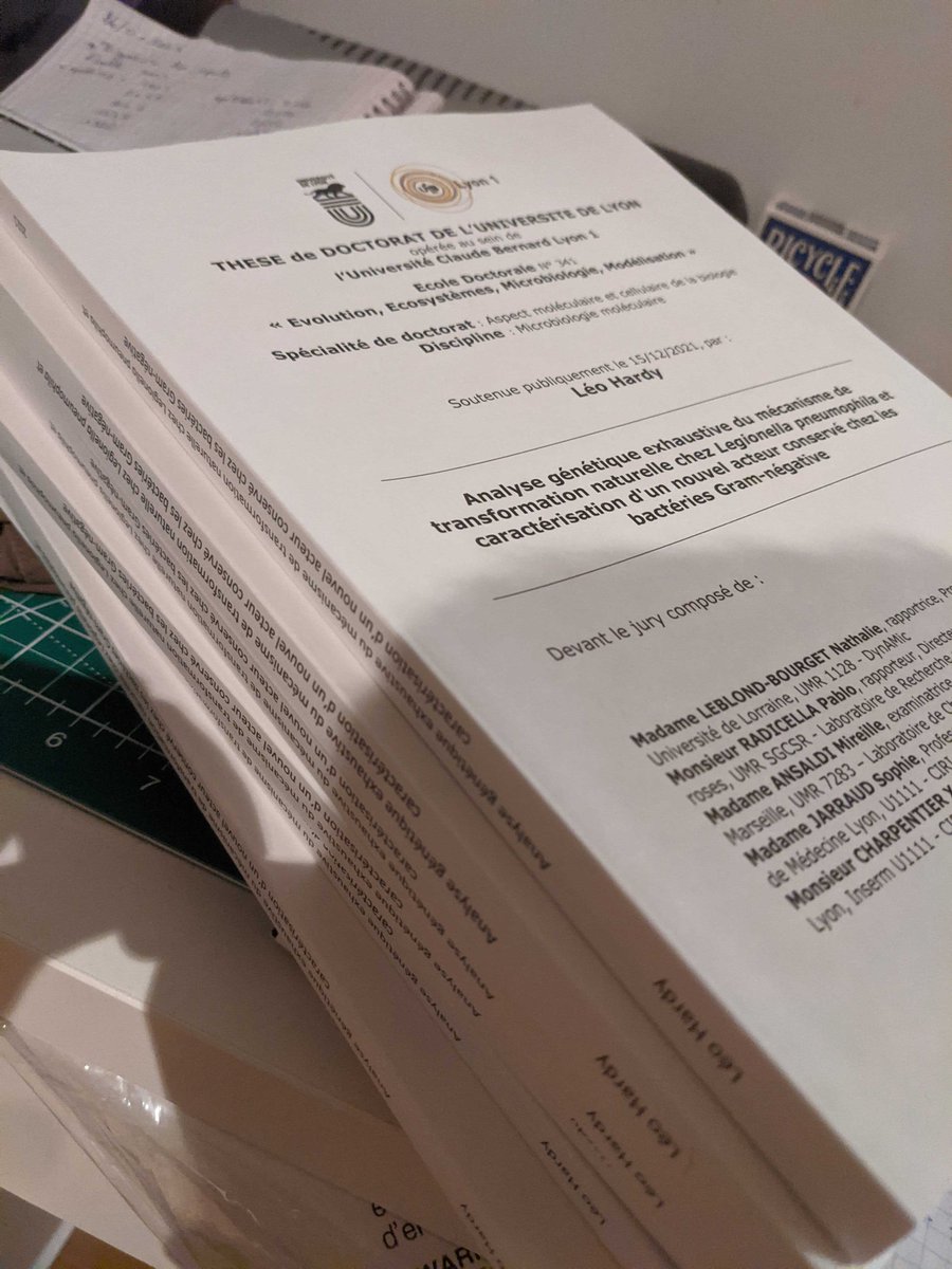 After two months of hard work (and four years of thesis) my manuscript is finally ready. All that remains is the defense 😄