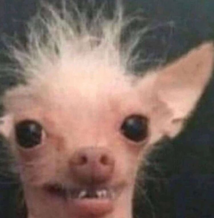 WTRCALS's tweet photo. i don't think I'd have a Ed if i looked like this https://t.co/YVHrSYrnPs