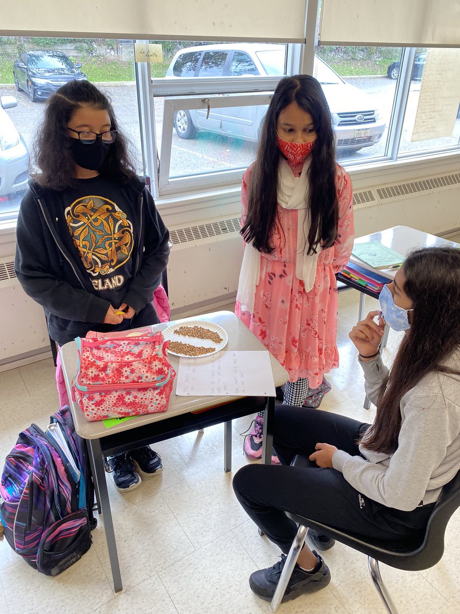 MotalaSM's tweet photo. @BeattyFleming grade 7’s collaboratively problem solve and use critical thinking to find the number of peas in a bag @PeelSchools students are developing global constancy through open ended tasks. https://t.co/iS8GcN8zQZ