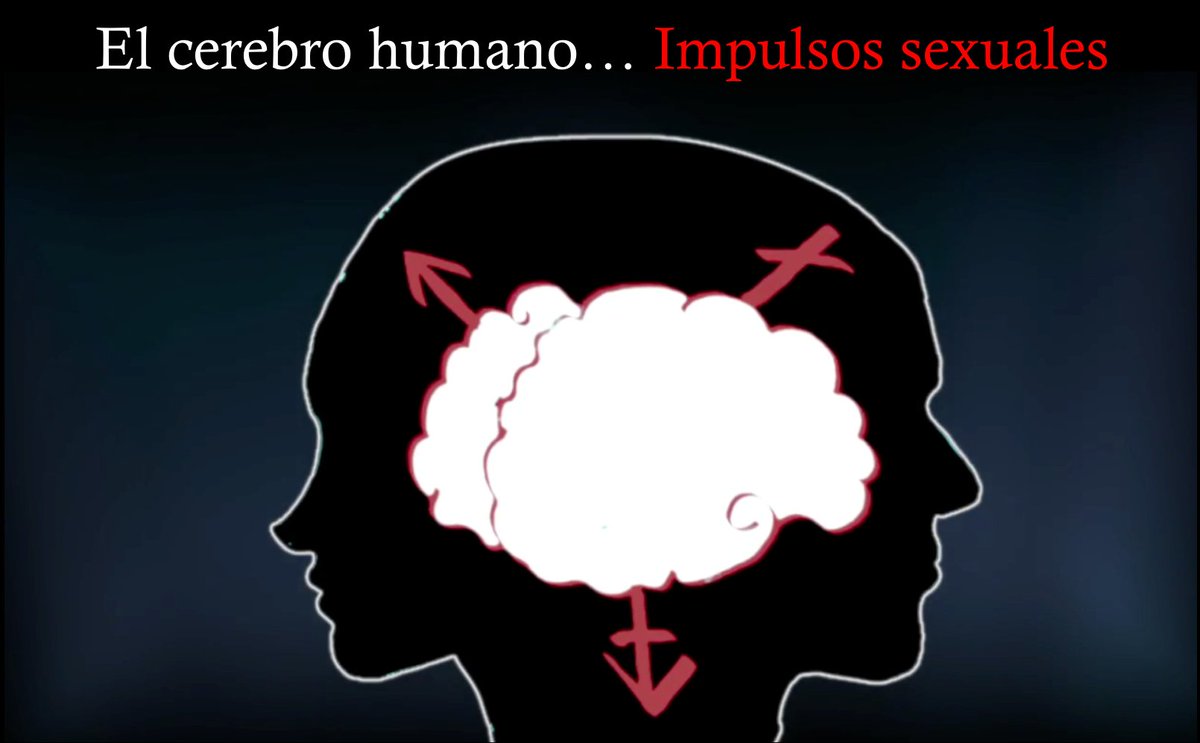 SheTVCanal's tweet photo. El cerebro humano puede mentir cada 8 minutos.

El Dr. Eduardo Calixto y la Dra. Tere Díaz abordan el tema del cerebro humano y las mentiras enfocando la sexualidad como eje central de la discusión.

https://t.co/qa72XKG0pk
https://t.co/3hfuLzafbN https://t.co/CUFCw9UnIf
