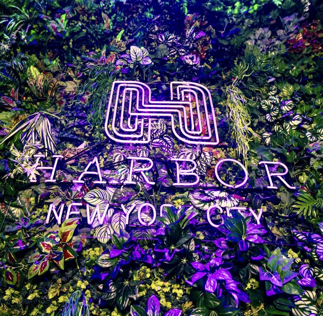 DimitriTee's tweet image. Kick Off Your #Halloween #Weekend This #Friday 10/29 @ #HarborNewYorkCity on 46th Street 🔊 I Will Be Doing The Closing Set For The #Acraze Show 🎧 Message Me For More Info/#GuestList . #NYC #HouseMusic #TechHouse #DjLife #FridayNight #GoodVibesOnly #NewYorkCity #PartyTime #LFG