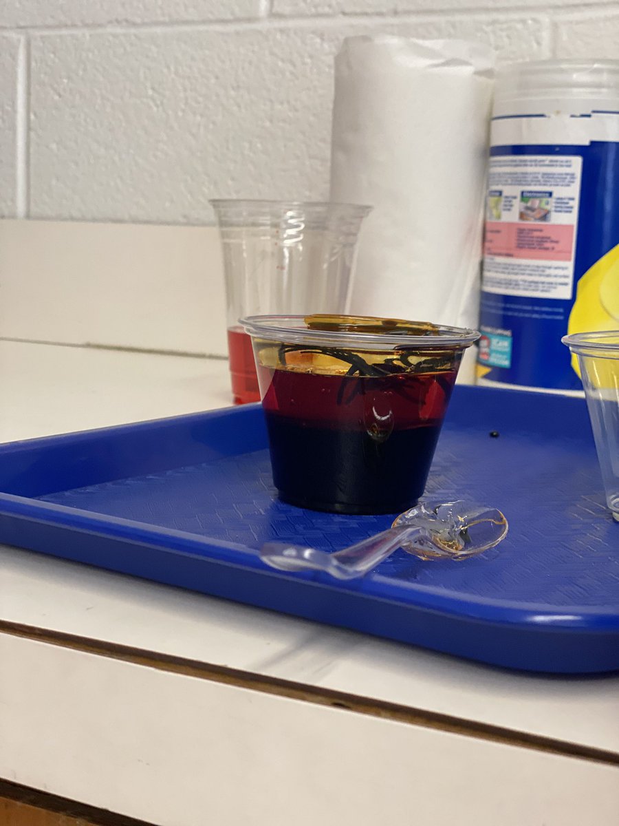 Miss Maguire tweet media