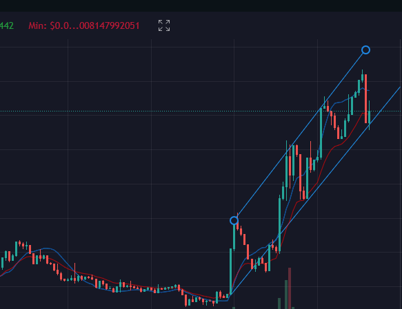 thebiblestrue tweet media