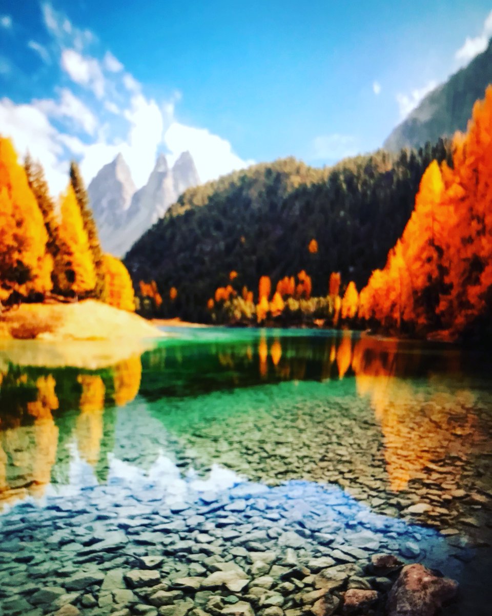 garrygl1's tweet photo. Like water which can mirror the sky &amp; trees only as long as it’s surface is undisturbed , the mind can only reflect the true image of the Self when it is tranquil &amp; relaxed - Indra Devi #water #sky #trees #calm #serenity #motivation #God #source #universe #nature https://t.co/EftD1FWKf3