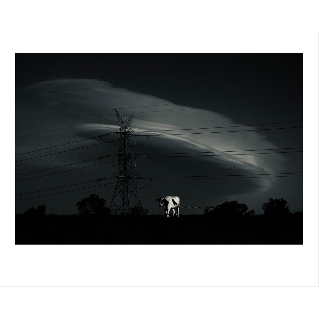 OCULI SUMMER PRINT SALE 2 DAYS TO GO

Todays image is 'Space Cow' by Dean Sewell

All prints are $100 AUD and funds raised go towards a major exhibition for Oculi in 2022⁠

oculi.com.au/printsale
⁠
SALE ENDS 6PM OCTOBER 31⁠
⁠
#printsale #australianphotography #oculi⁠