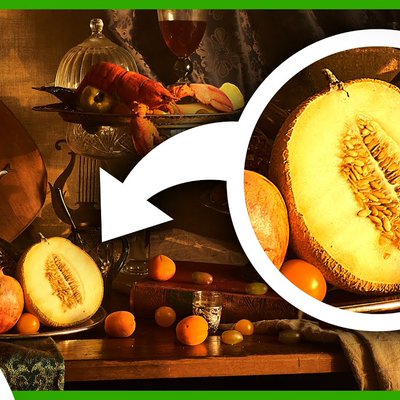 SciShow's Photo