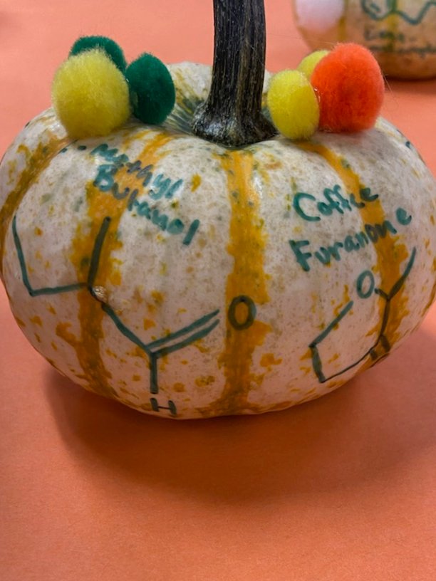 NTH_STEM's tweet photo. Mrs. Hartfields STEM Chemistry class got in the spirit of Fall and created chemistry themed pumpkins. Don't they look spooktacular?
@nhhsprincipal
 
@NorthHallHigh
 
@Hall_Schools https://t.co/fTFeP8dMgB