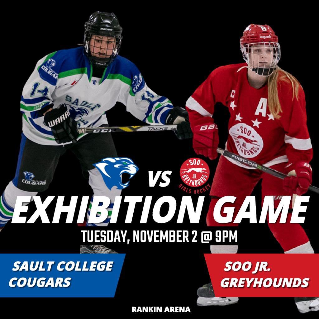 cougarswhky's tweet photo. ⁦@SooGirlsHockey⁩ ⁦@Saultsportscom⁩ ⁦@SaultCollege⁩ https://t.co/NqYEpcjJVe