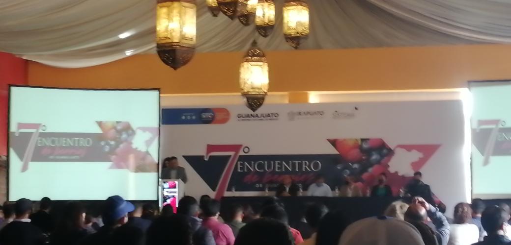 ORGANICOSBIONAT's tweet image. #sistemaproductoberries #irapuato #fresas #frutillas