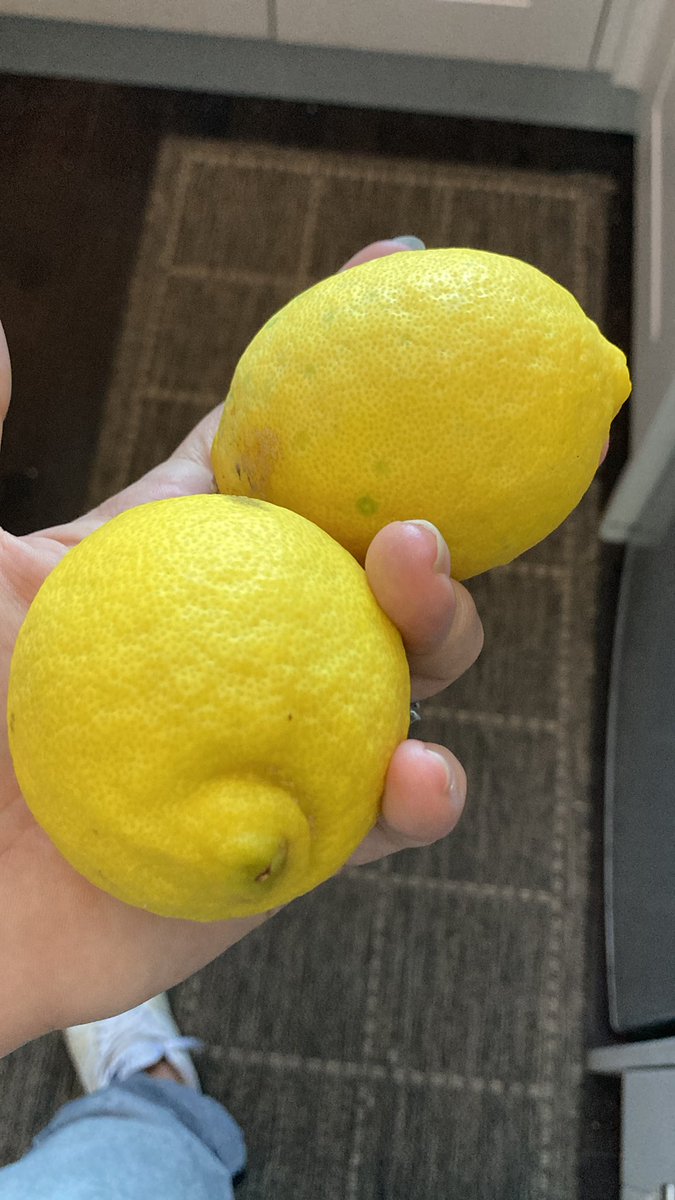 little_reece's tweet photo. .@Sainsburys heads up to your pickers, but these aren’t limes 🤷🏻‍♀️🙈 https://t.co/0ug11TgPaq