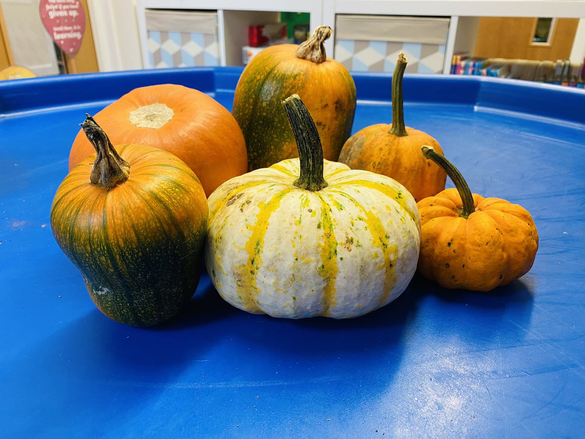 All_SaintsCofE's tweet photo. 🌈 In The Ark, we got messy and carved out the pumpkins ready for making pumpkin volcanos tomorrow! A great sensory opportunity for us to talk about how we are feeling today &amp; how we can regulate our emotions 🌈
#RegulatingEmotions #LunchtimesInTheArk #Thriving @ThriveApproach https://t.co/mpk6KVIp5p