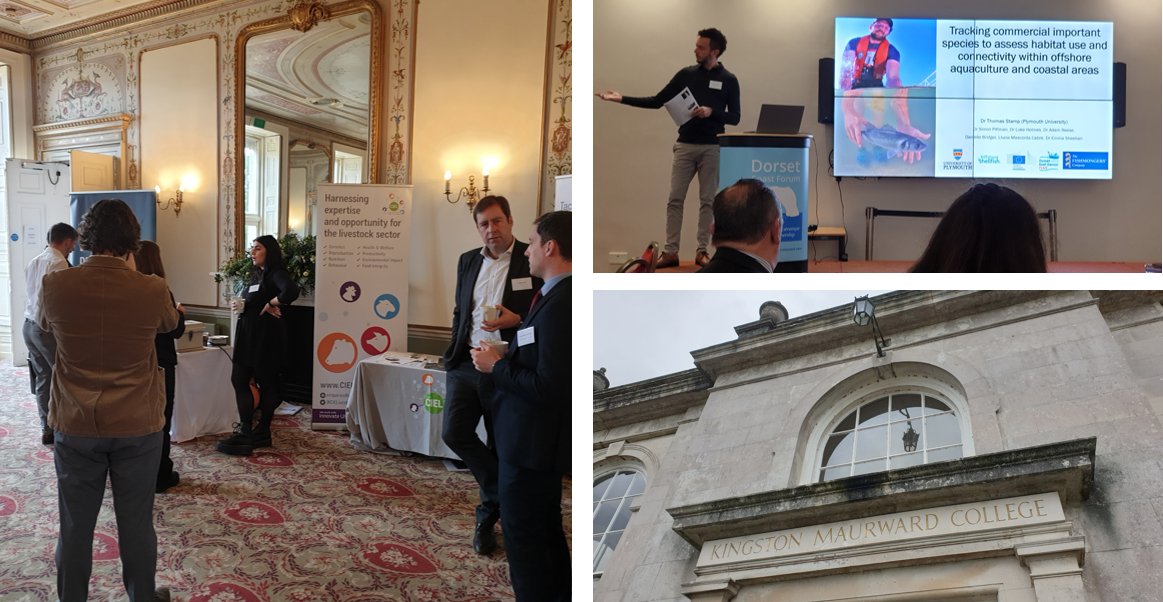 CIELivestock tweet media