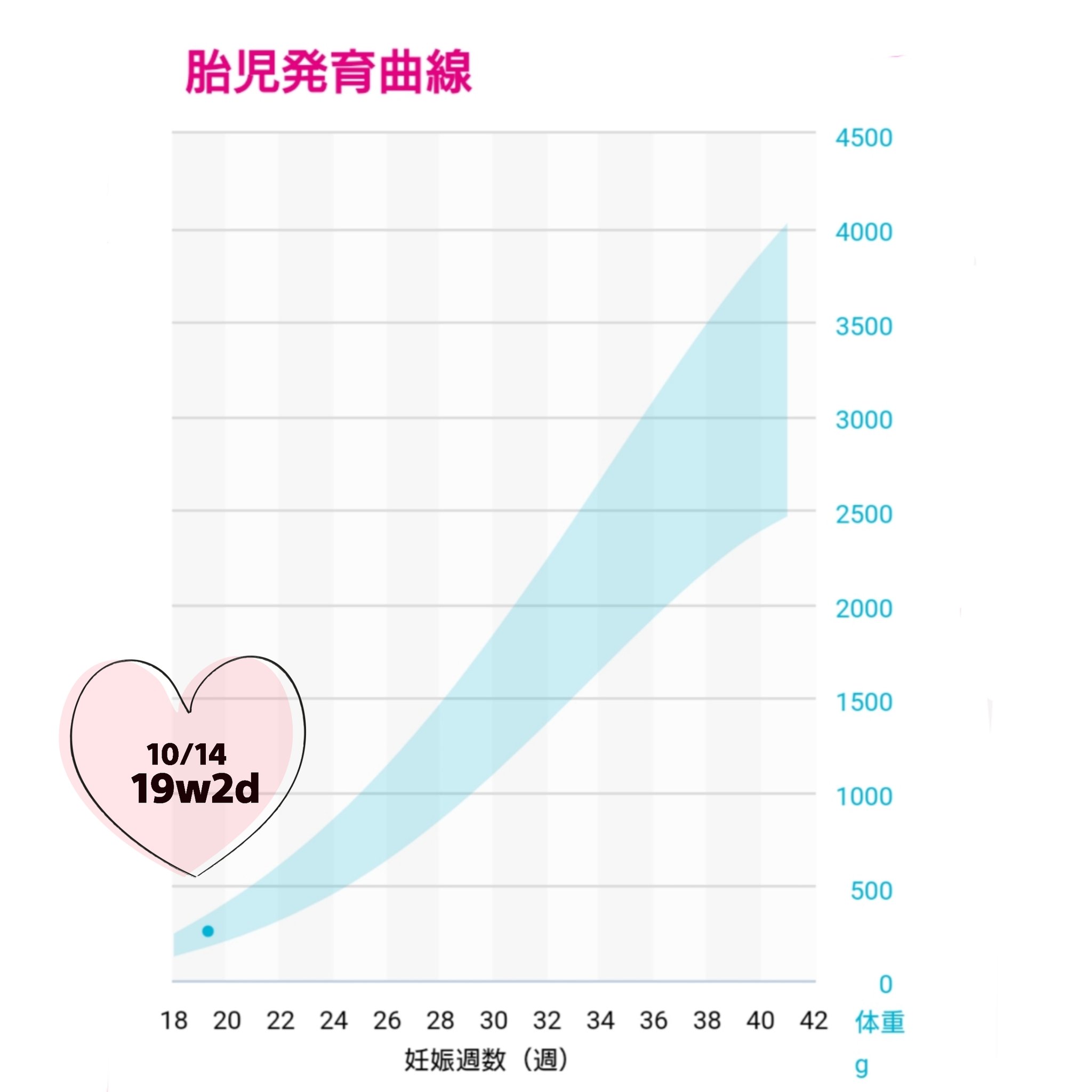 胎児発育曲線 Twitter Search Twitter