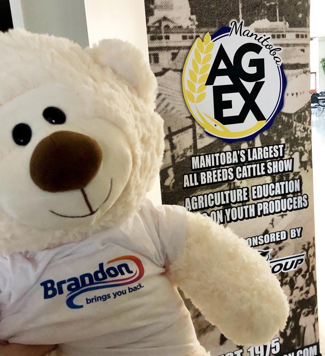 I’m so excited events are back in Brandon! Ag Ex is on until Saturday at the @Keystone_Centre! @ProvincialEx #brandonbringsyouback #eventsbdn #agevents