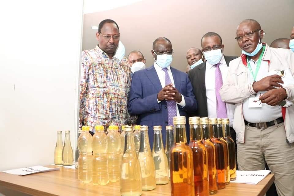 MrGideonKimathi's tweet photo. We seek to ensure we have a research-based evidence even as we seek International market of the Miraa crop.

Already the sector brings $ 250M into Kenya, and has a potential of over $ 400M if we support value addition endeavors. https://t.co/VvMutMJSSE