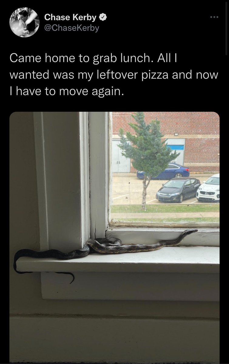 Chase Kerby tweet media