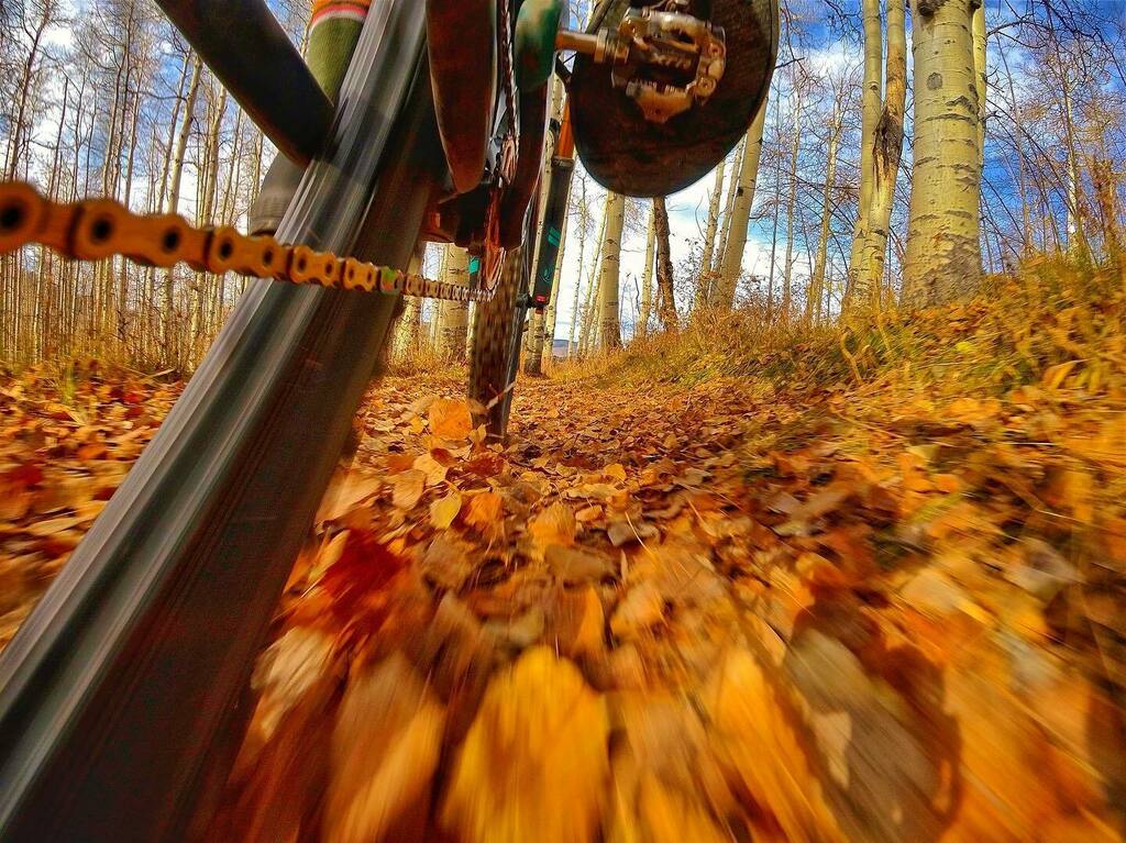 thepowdermonk's tweet photo. Returned from Idaho to leaf wake season at home.
.
#GoByBike
#OneLessCar
#RideFromHome
#RideMoreDoMore
.
#PEARLiZUMi #cycling #mtb #optoutside #mountainbike #singletrack #gopro #coloradogram #goprocycling #mtblife #gopromtb #whyiride #yeticycles #venture… https://t.co/kE6adOaS10 https://t.co/MtoycPV8EX