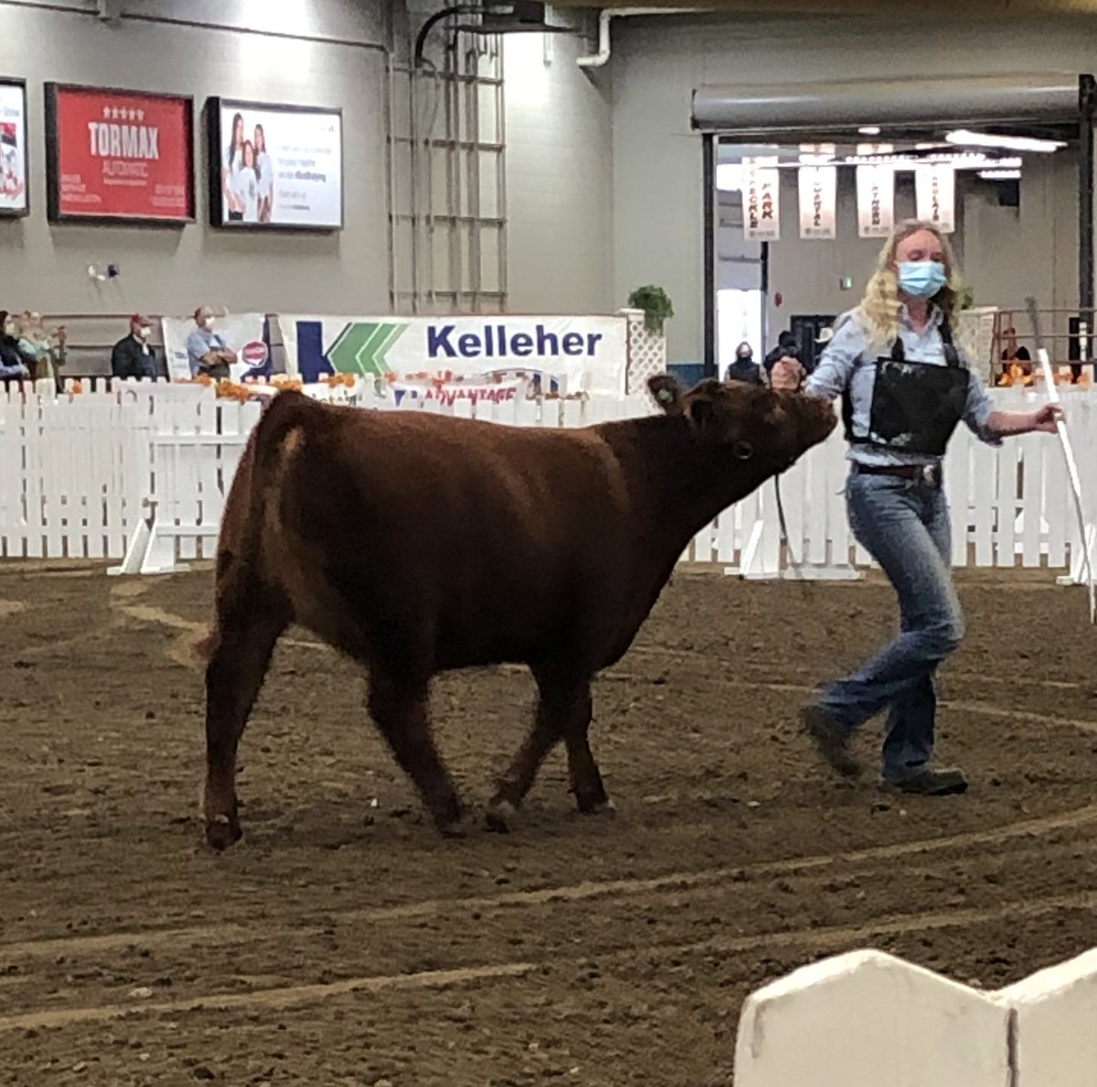 I’m so excited events are back in Brandon! Ag Ex is on until Saturday at the @Keystone_Centre! . @ProvincialEx #brandonbringsyouback #eventsbdn #agevents