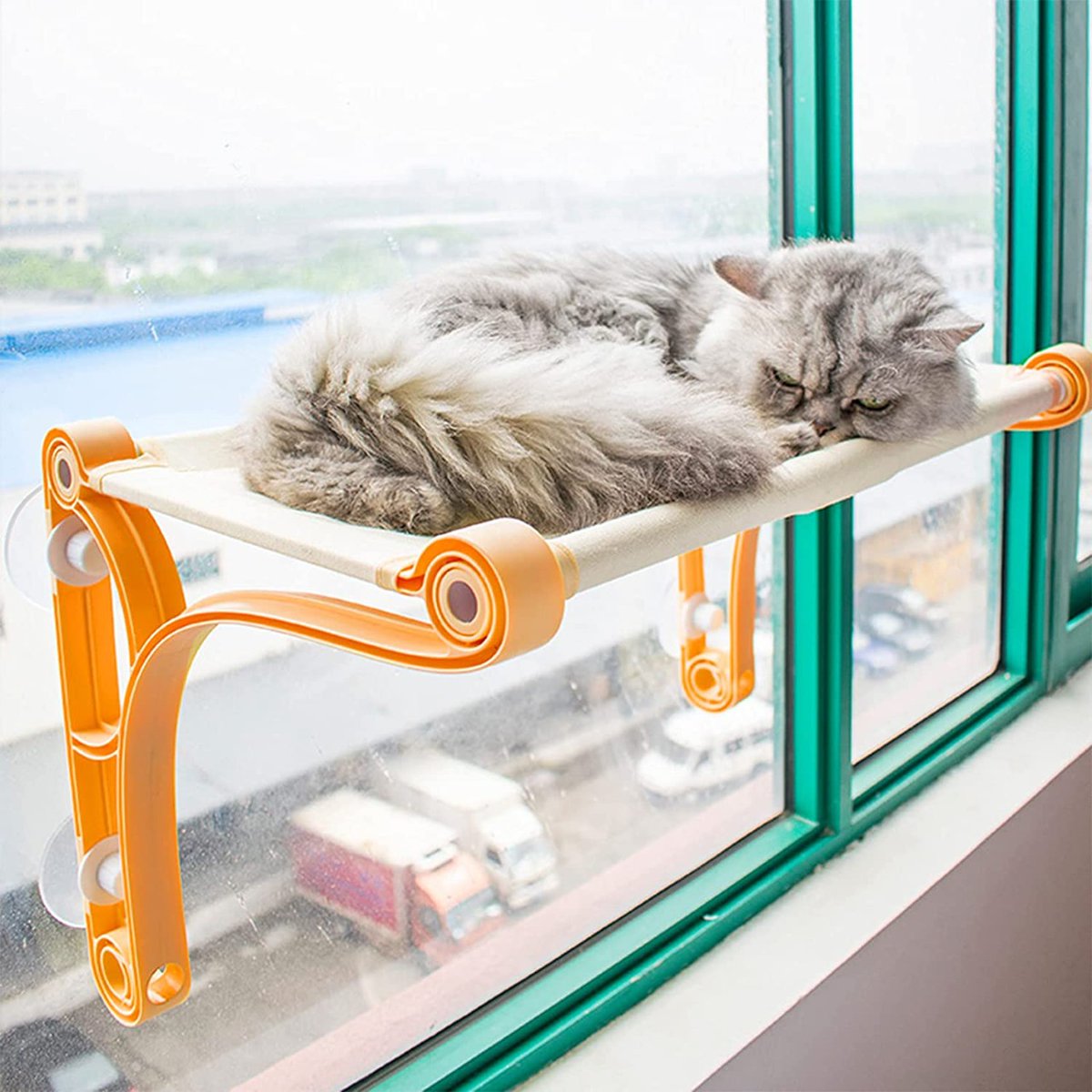 AshFreebies's tweet photo. Cat window perch-pm
#USA #tester #amazontester #productreviewer #freeitem #freeproduct #giveaway #expensive #amazongiveaway #Cashappblessing #free #topreviewers #Giveaways #CatsOfTwitter #hammock #windowperch #Cat https://t.co/AmecoIvHDl
