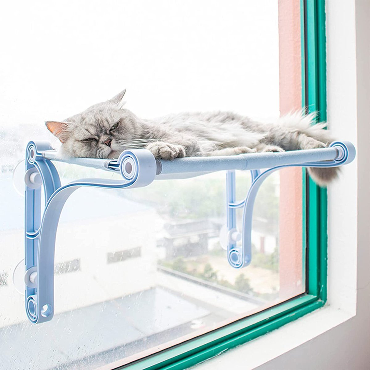 AshFreebies's tweet photo. Cat window perch-pm
#USA #tester #amazontester #productreviewer #freeitem #freeproduct #giveaway #expensive #amazongiveaway #Cashappblessing #free #topreviewers #Giveaways #CatsOfTwitter #hammock #windowperch #Cat https://t.co/AmecoIvHDl