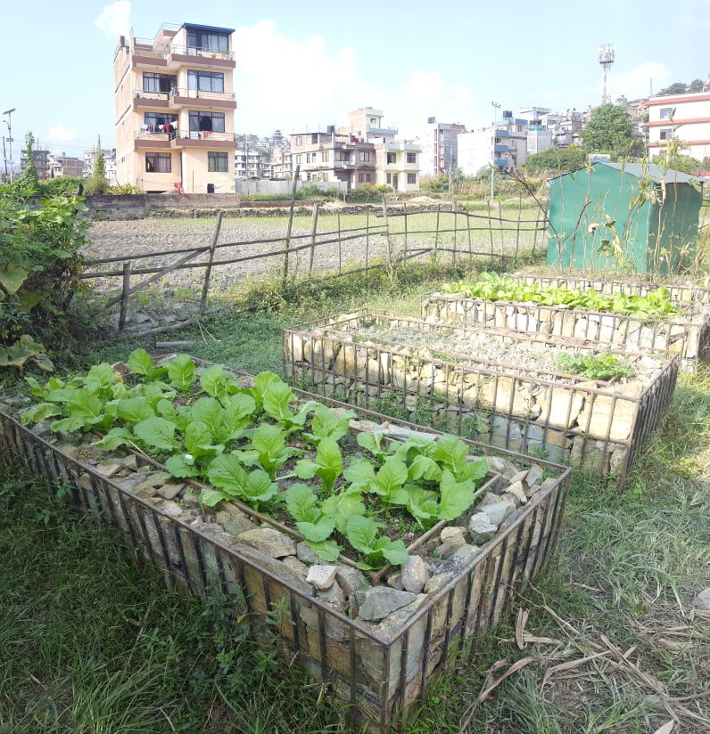 NCSCNepal's tweet photo. We had a really great first meeting with Creative Academy at Kirtipur on 28 Oct, 2021. They shared their #NatureBasedTeaching and learning experiences with us. The meeting ended with a mutual understanding to work on a nature-based educational program with the school. https://t.co/7gAlxPpEcL