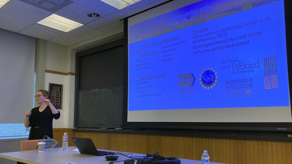 Tissue Morphodynamics Group tweet media