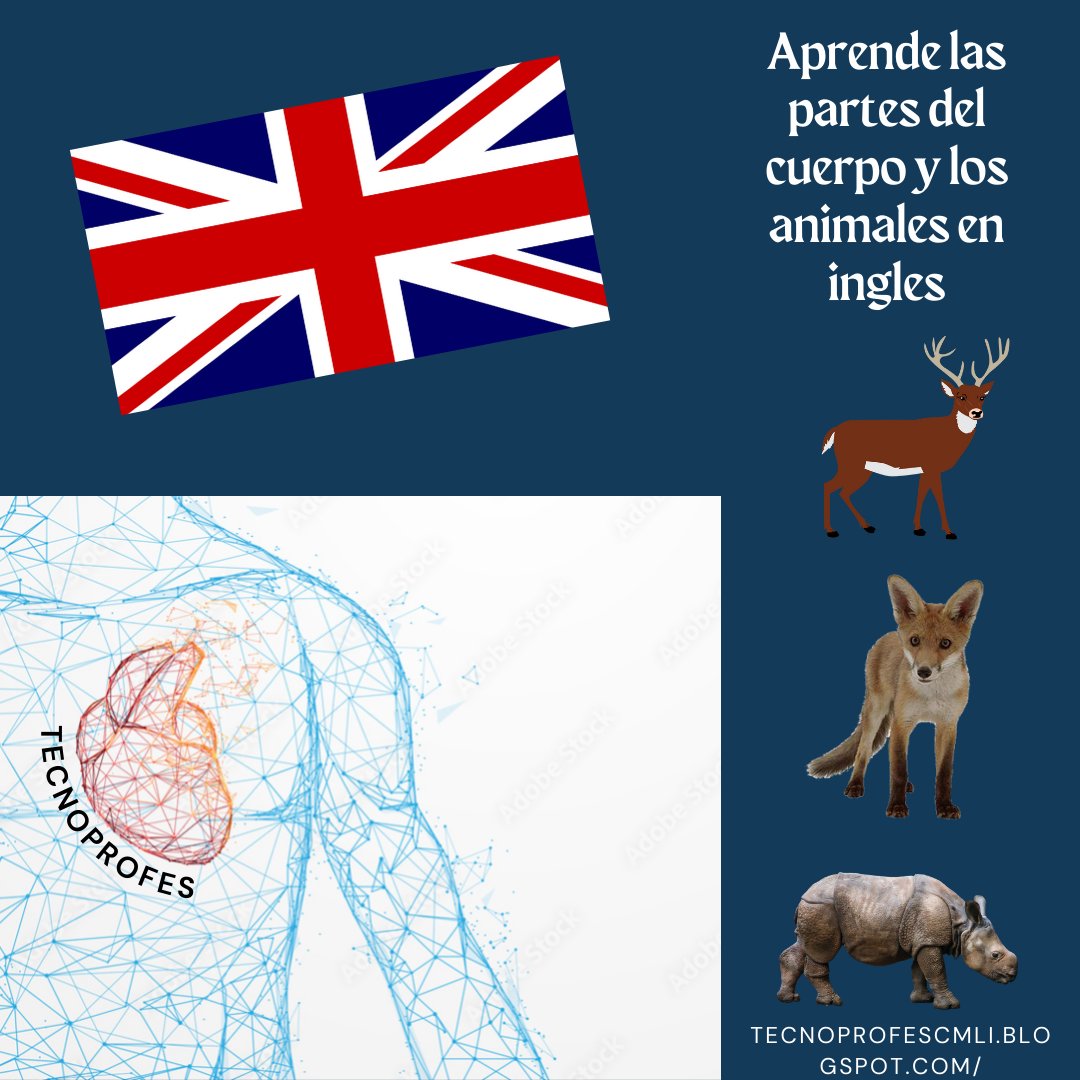 TecnoProfescmli's tweet photo. También podéis acceder a nuestras actividades diseñadas para los más pequeños:  ¿Vertebrados o Invertebrados? y virtual Oca https://t.co/qBGfgxm6EX