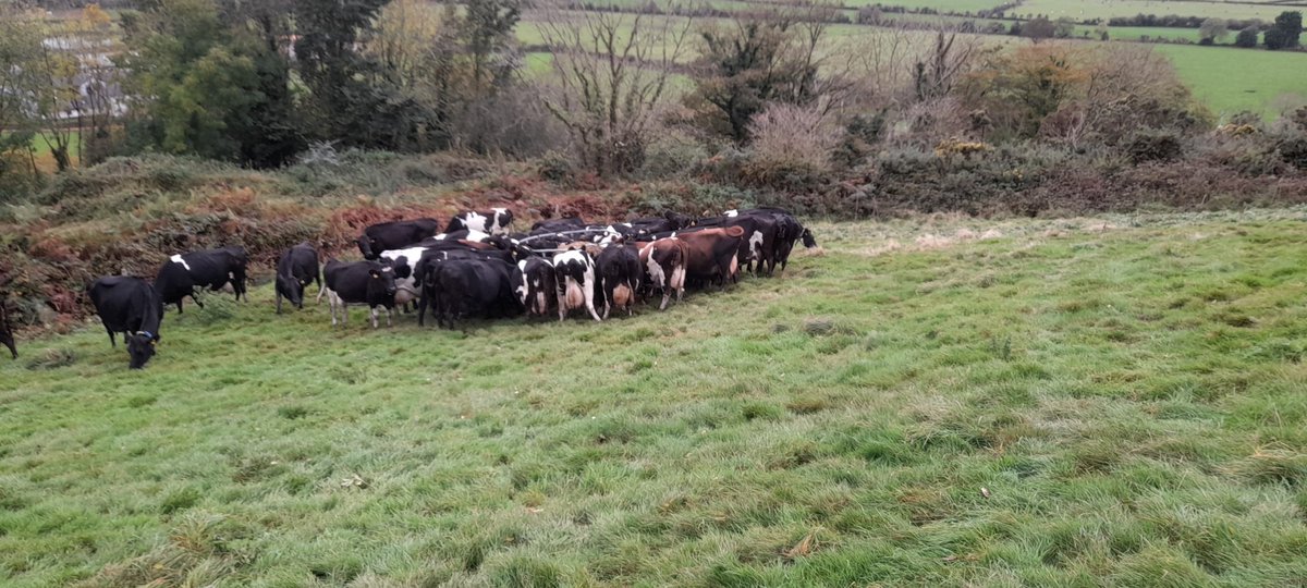 George Lucas - if you're looking for a new movie idea - presenting....Hill Wars: Episode III: The Return of the Organic Matter 🤔....anyway....my line is always open....