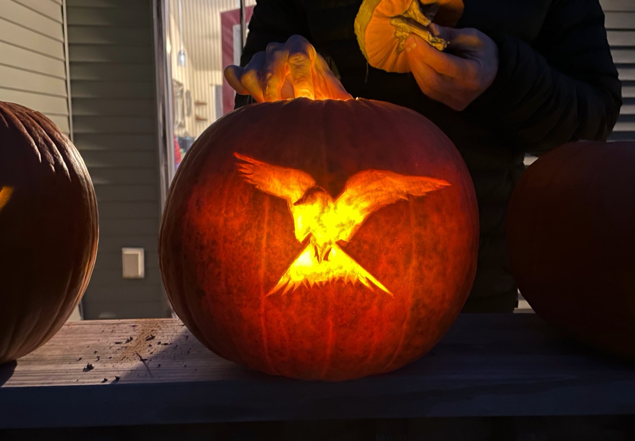 Hunger Games Mockingjay Pumpkin Stencil hunger-games-mockingjay-pumpkin-stencil