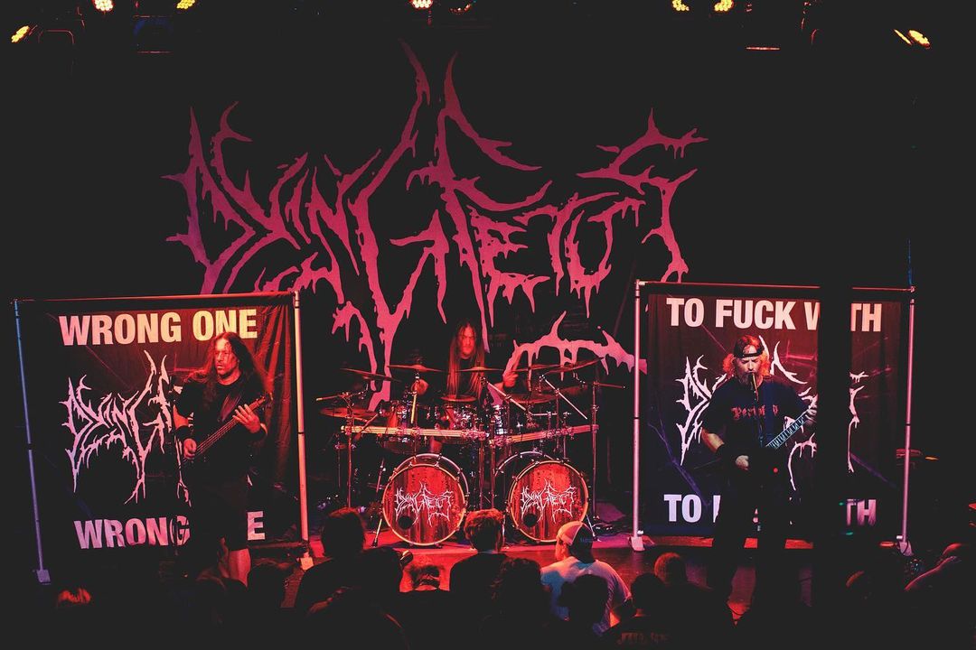 Dying Fetus tweet media