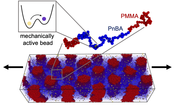 StattAntonia's tweet photo. Check out our most recent work on mechanochemically active triblock copolymers! 
https://t.co/W18Aoo3D7F https://t.co/M83qz0J9jp