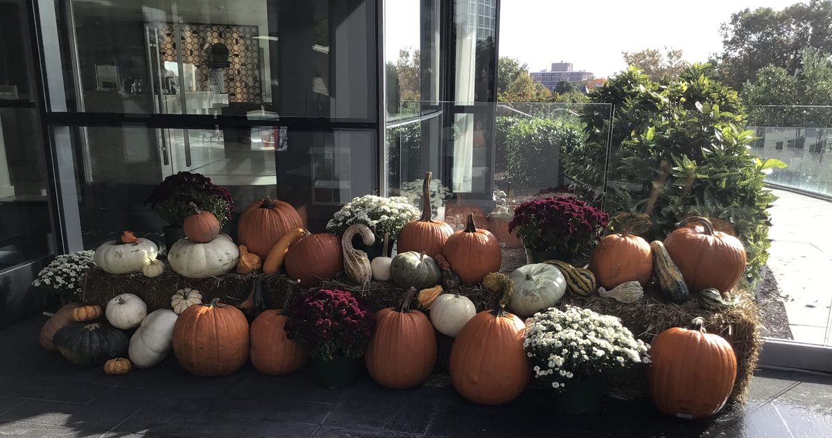 TheHepburnDC's tweet photo. A perfect way to welcome home our residents at The Hepburn! https://t.co/Oe8404k8HK