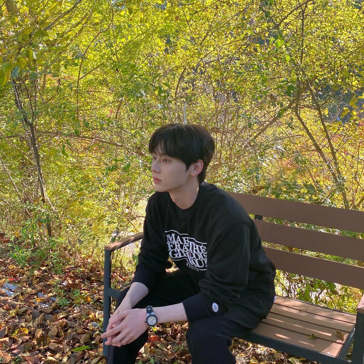 Charm89ing's tweet photo. 비상이다… 황의 계절이 돌아옴 https://t.co/E7Fl3nPAzb