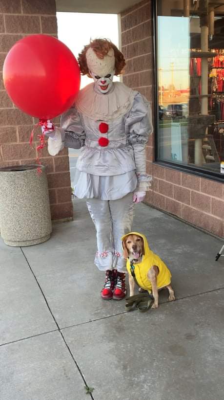 Pennywiseont's tweet photo. @Pennywiseont meets Georgie #Pennywise #halloween2021 #pennywiseontario https://t.co/Sda5acHmnK