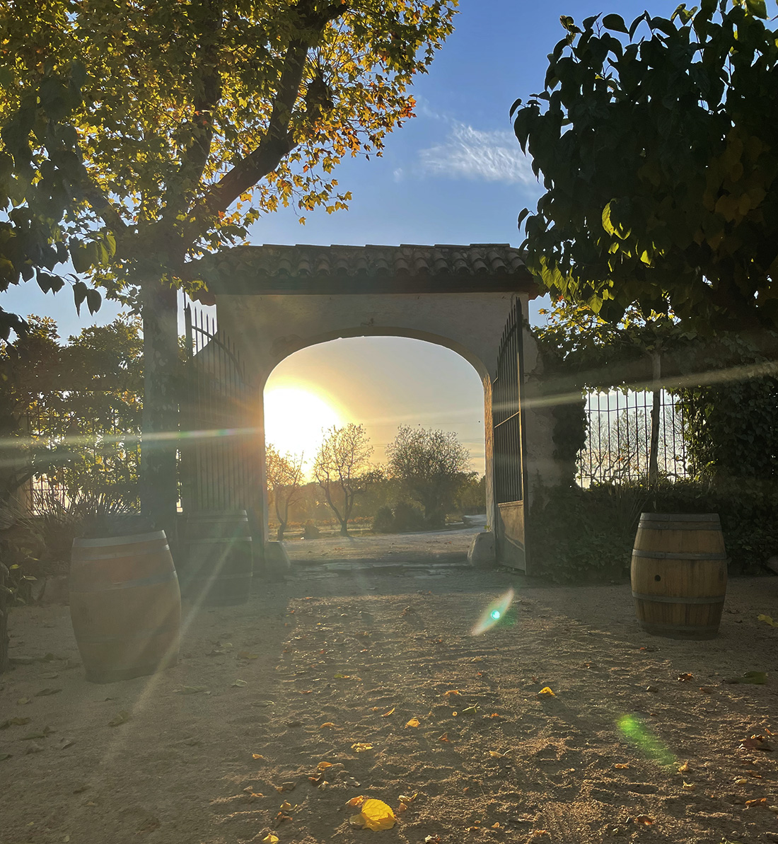 CavesBohigas's tweet photo. Golden hour de tardor a Can Macià. 🌄
.
.
Golden hour de otoño en Can Macià. 🌄

#cavesbohigas #bohigas #canmacia #goldenhour #postadesol #puestadesol #finca #masia #masiacatalana #odena #anoia #anoiaturisme #descobreixlanoia #descobreixcatalunya https://t.co/Yx5iaGXfAb