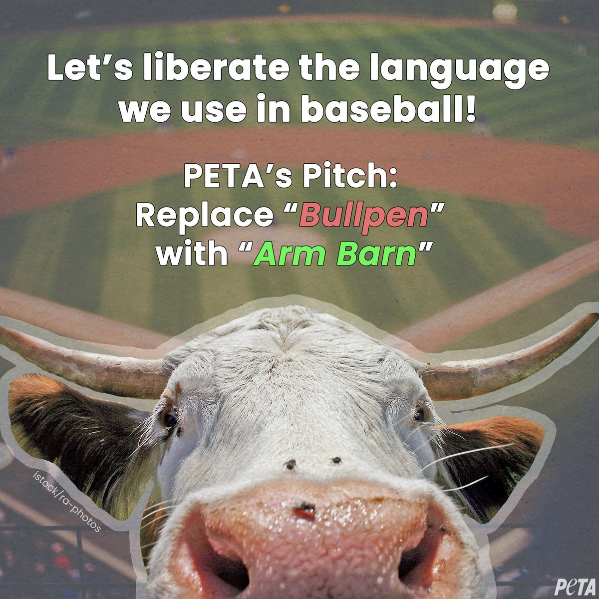 Bull Pen