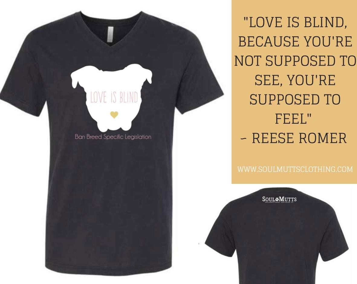 Soulmutts1's tweet photo. All dogs love unconditionally &amp; deserve the same in return! October is pit bull awareness month, you can show your support for the misunderstood that have hearts bigger than their heads with our Love is Blind tee featuring one of our own pibbles, Mary Puppins💘☂️🐾 https://t.co/hAhcRnOdCf
