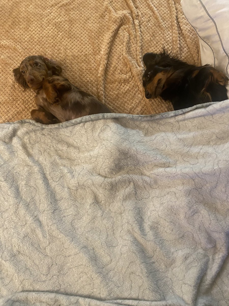 AaronBuckley_'s tweet photo. My kids https://t.co/51QAM32Irr