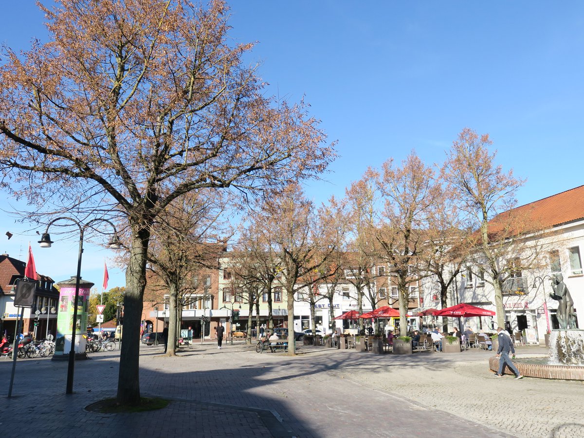 Saltytrees's tweet photo. Unsere todkranken Straßenbäume, Opfer von  #Streusalz, #Dürre, Bodenverdichtung sind längst entlaubt (Bild 1). Die Exoten in Parks, hier #Tulpenbaum und #Silberahorn, stehen in voller Herbstpracht. #Bäume #Klima #Stadtgrün #MenschNatur https://t.co/t75OzRWk8i