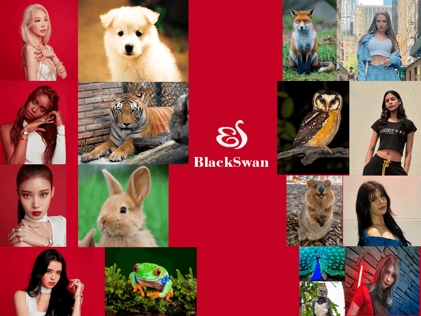 SunMoon9000's tweet photo. @BlackSwanRumor 
@blackswan_drent 
@korea_blackswan 
#blackswan_with_closetome 
#blackswan 
Kellie Faughnan (Estados Unidos) é a Raposa Vermelha
LeeA Nanos (Austrália) é Quokka
Shreya Lenka (Índia) é Caburé (Coruja brasileira)
Gabriela Dalcin (Brasil) Harpia ou Pavão? 
Vcs? https://t.co/1lubxoidjM