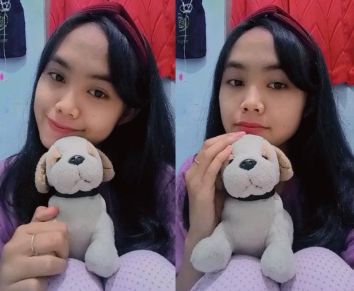 abigailtir's tweet photo. even though it's just a doll i still think it's a smart dog xixixiii https://t.co/6Y6WQYNLPh