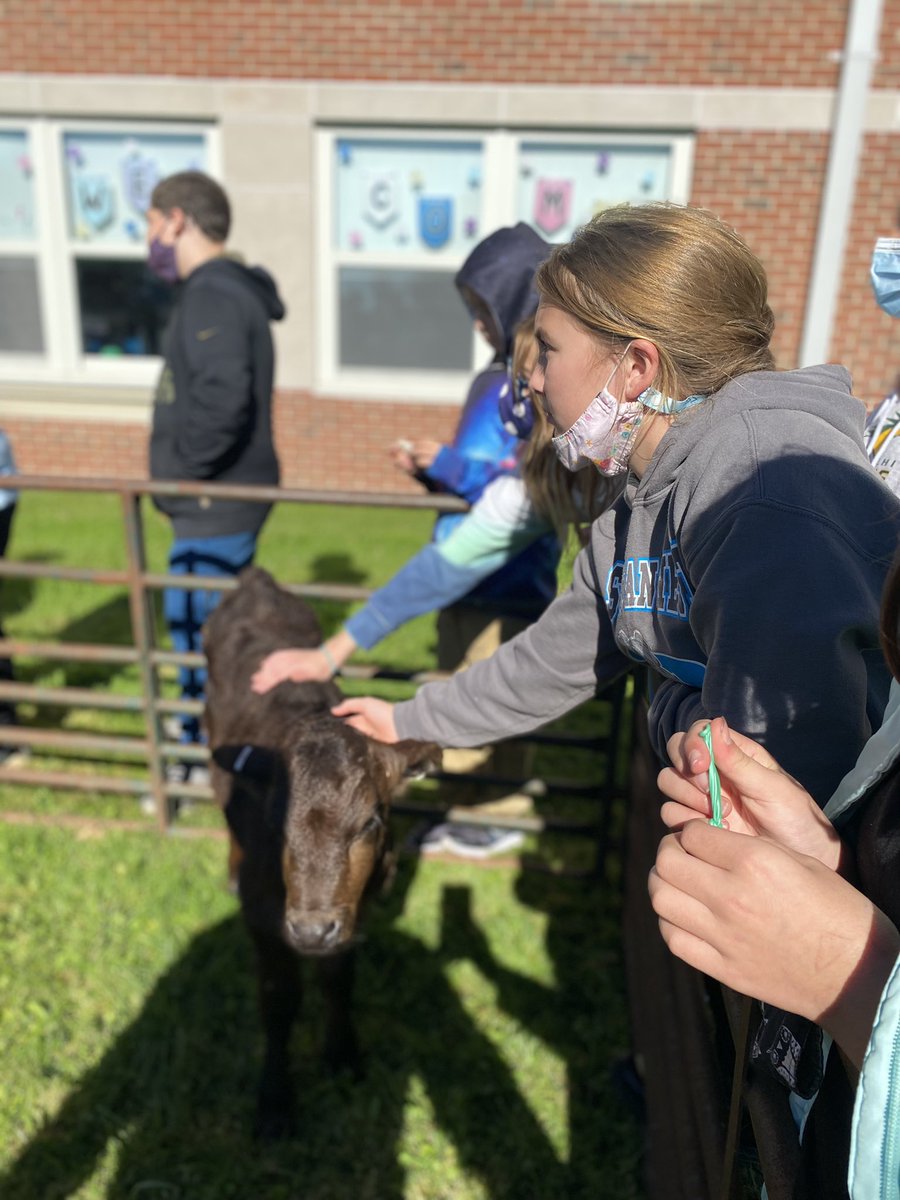 It turned out to be a beautiful day for the Farm to School event today at Sullivan West elementary! <a href="/FarmtoSchool/">National Farm to School Network</a> @CCESullivan <a href="/FarmOnFarmOn/">FarmOn! Foundation</a>